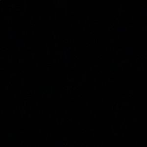 Meet your Posher, Sonia